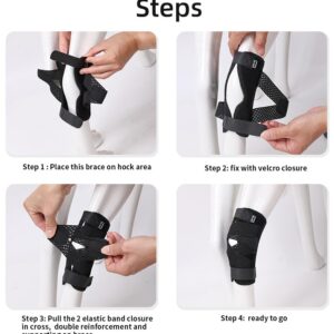 (S/M) Dog Leg Brace for Rear Leg,Rear Leg Hock Brace,Hock & Ankle Support,Dog Brace for Torn ACL & CCL,Dog Leg Sleeve with Reflective Straps,Black,1 Pair