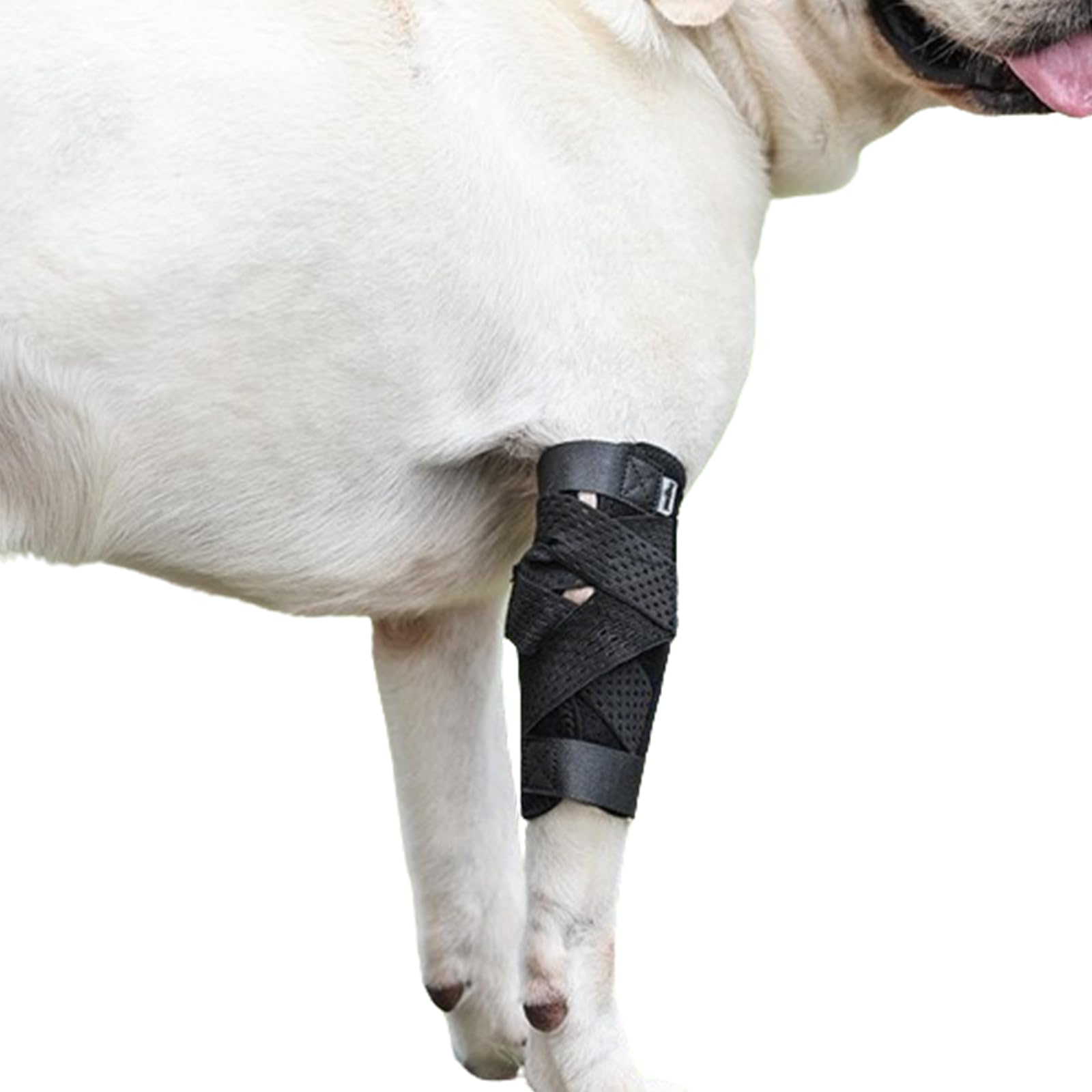 (S/M) Dog Leg Brace for Back Leg, Canine Hock Brace for Rear Legs with Dual Metal Strips, Joint Warps Strong Support Help for Hind Leg Injuries Sprains Arthritis Torn ACL(1Pair)