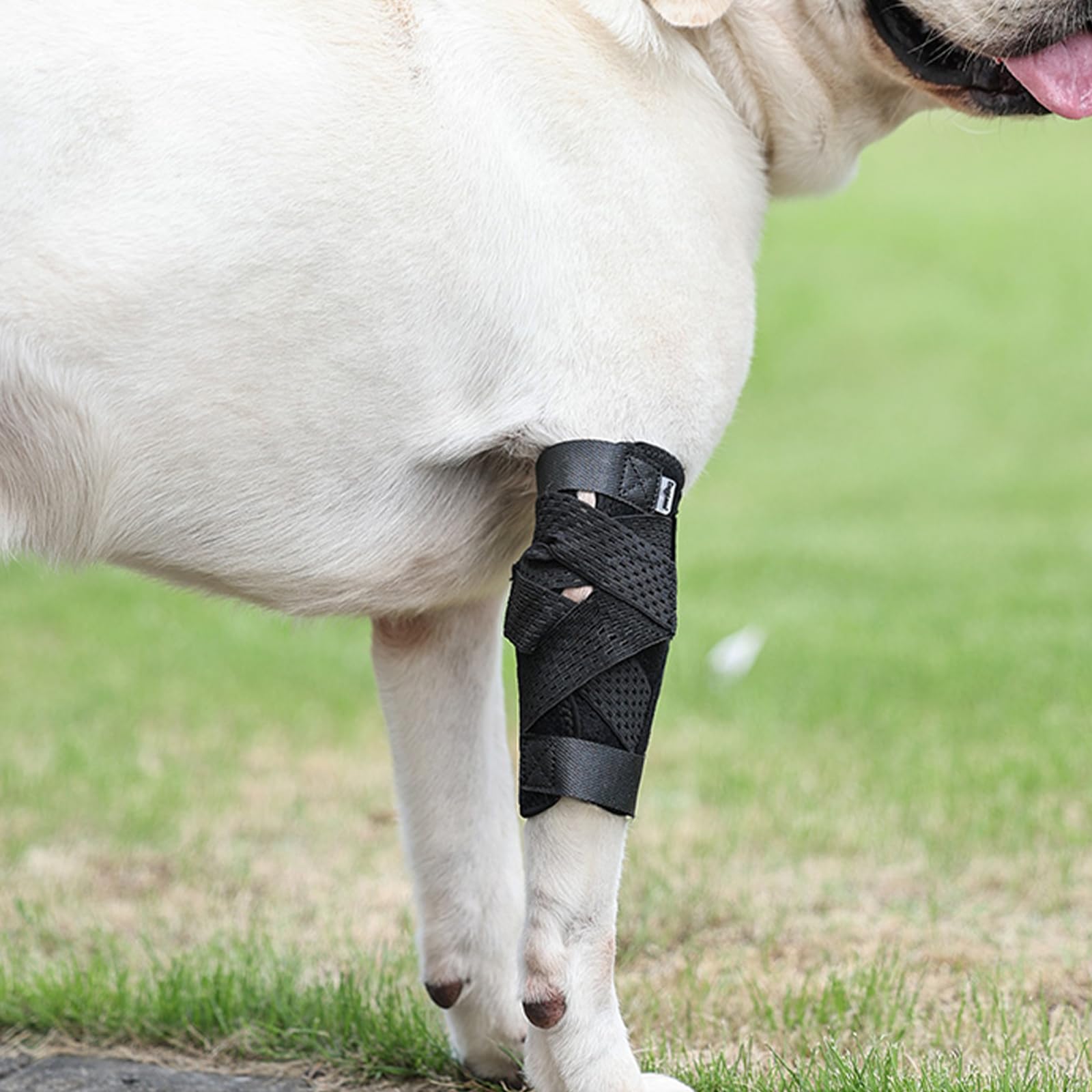 (S/M) Dog Leg Brace for Rear Leg,Rear Leg Hock Brace,Hock & Ankle Support,Dog Brace for Torn ACL & CCL,Dog Leg Sleeve with Reflective Straps,Black,1 Pair