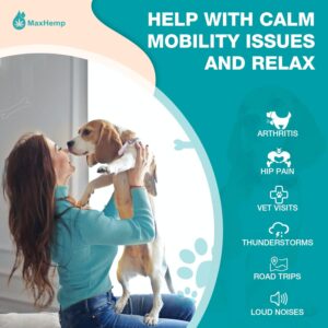 MaxHemp Dog Hip & Joint Care for Pet Oil-BOYIGENGXIN-42