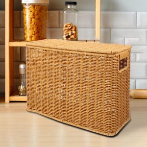 Gadpiparty Large Wicker Storage Basket with Lids Wicker Basket Rattan Magazine Holder Decorative Basket Bin Woven Storage Container, 15 Inch