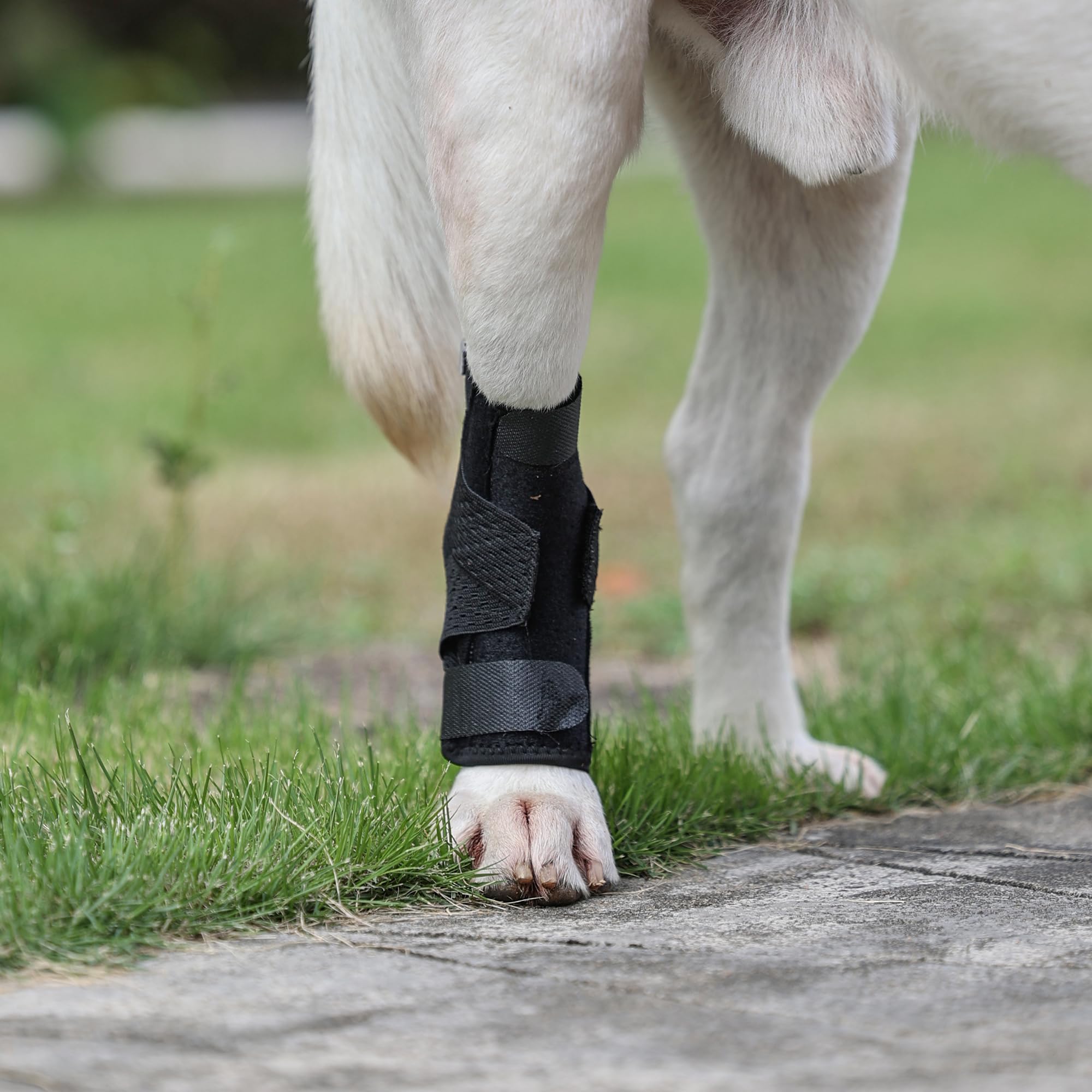 (S/M) Dog Leg Brace for Rear Leg,Rear Leg Hock Brace,Hock & Ankle Support,Dog Brace for Torn ACL & CCL,Dog Leg Sleeve with Reflective Straps,Black,1 Pair