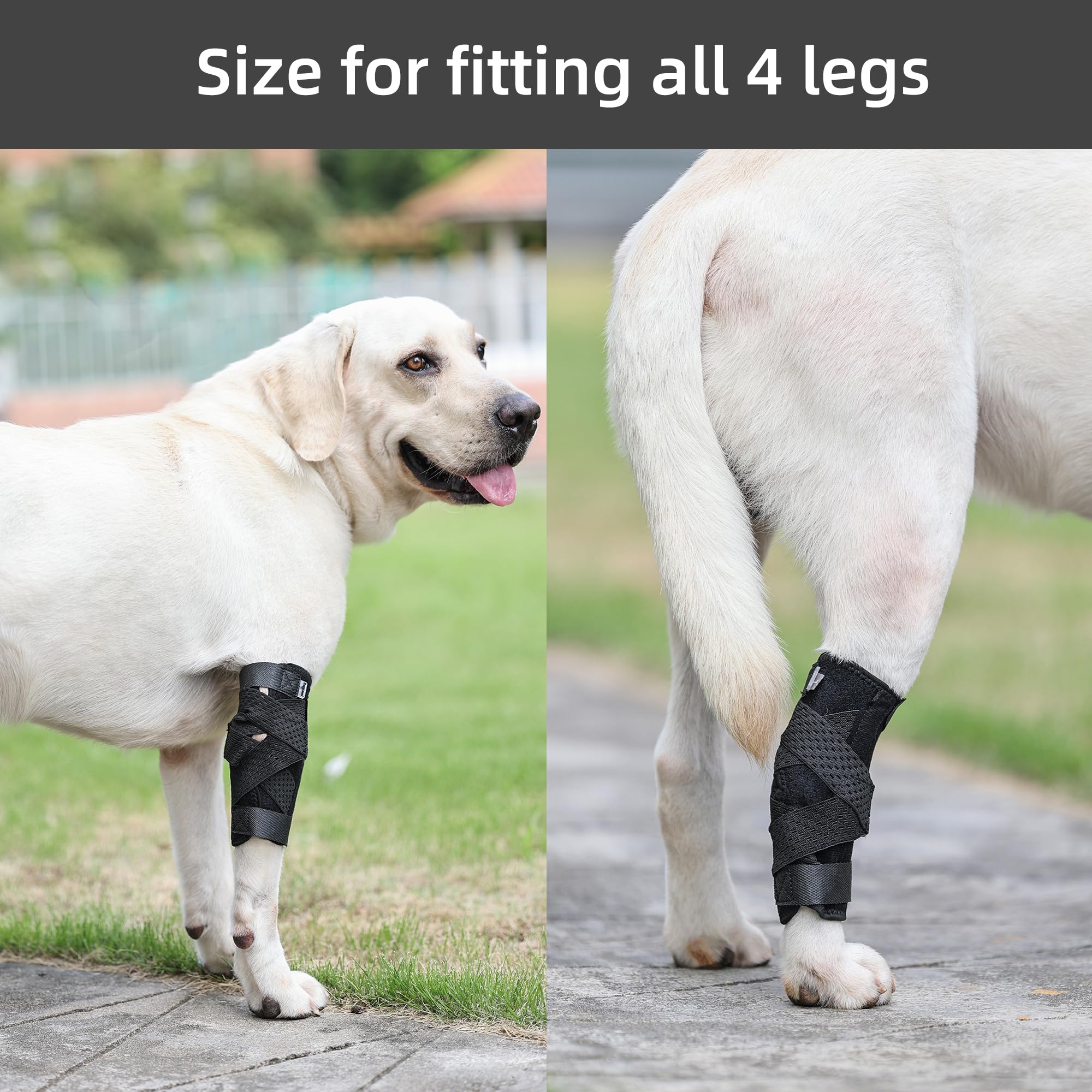 (S/M) Dog Leg Brace for Rear Leg,Rear Leg Hock Brace,Hock & Ankle Support,Dog Brace for Torn ACL & CCL,Dog Leg Sleeve with Reflective Straps,Black,1 Pair