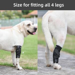 (S/M) Dog Leg Brace for Rear Hock & Ankle, Canine Hind Leg Joint Compression Wrap for Torn ACL & CCL, Back Leg Injury and Sprain Protection, Helps with Elderly Dogs Activies and Arthritis