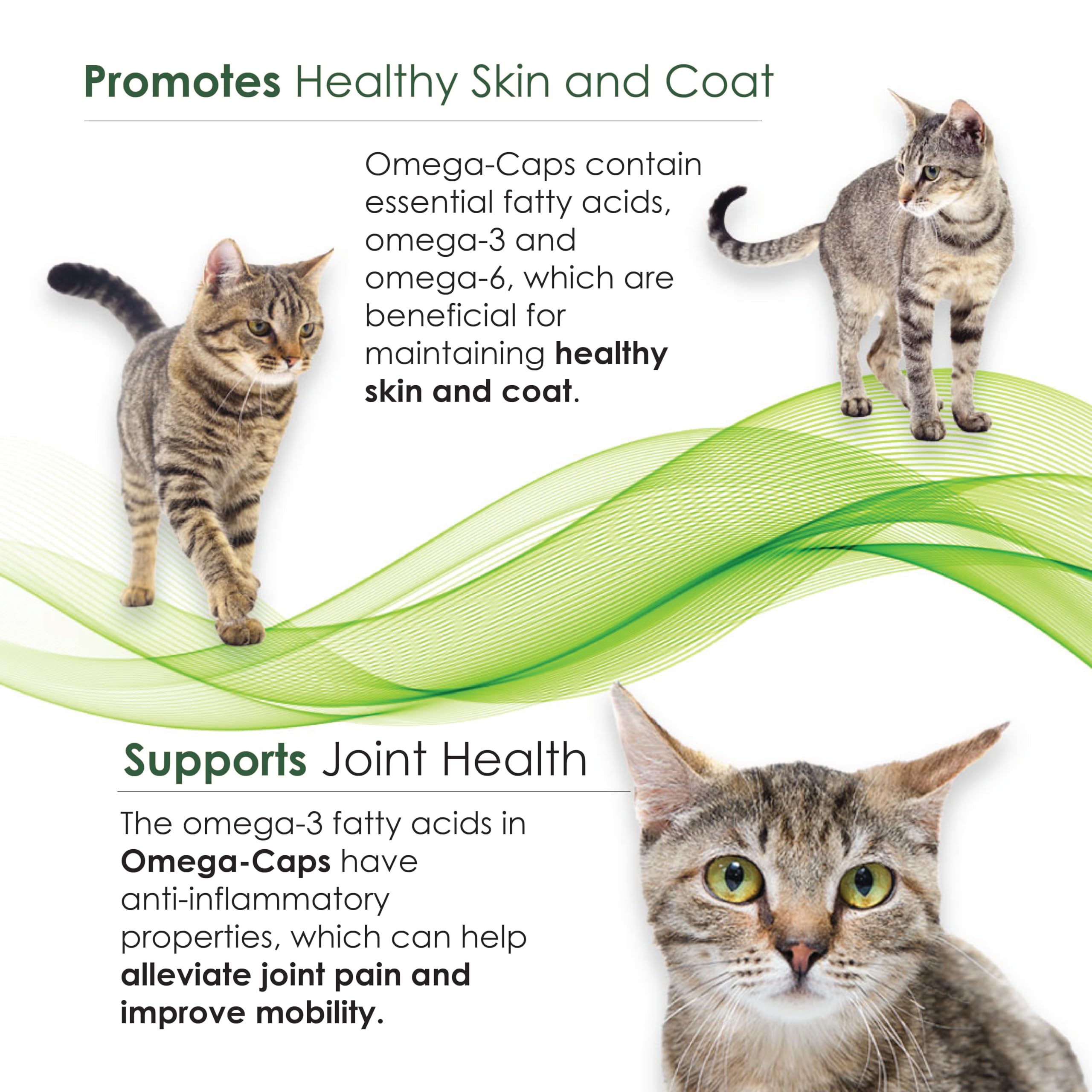 Omega-Caps for Cats and Small Breeds - Omega 3, Vitamins, Minerals, Antioxidants - Support Immune System, Joints, Heart, and Brain - 60 Softgel Capsules