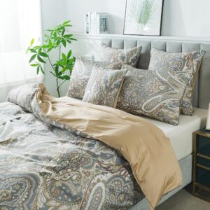 FADFAY Paisley Duvet Cover Set Queen Classic Boho Paisley Bedding Exotic Bohemian Paisley Quilt Cover 800 Thread Count 100% Egyptian Cotton Comforter Cover with Hidden Zipper Closure 3Pcs, Queen Size