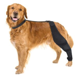 dolitego dog acl knee brace for pet recovery, adjustable straps, universal fit, supportive and comfortable, for small, medium, large dogs (x-large, black left)