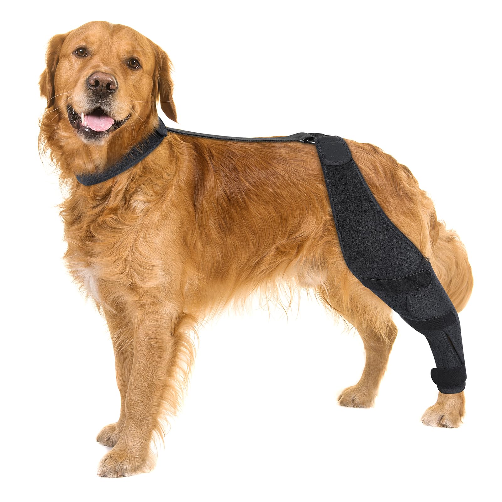 Dolitego Dog ACL Knee Brace for Pet Recovery, Adjustable Straps, Universal Fit, Supportive and Comfortable, for Small, Medium, Large Dogs (X-Large, Black Left)