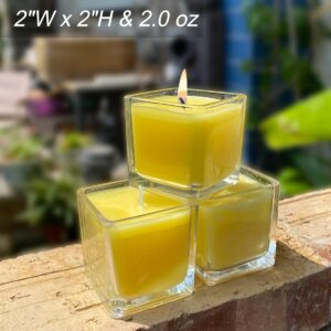 12 Pack Yellow Small Square Glass Citronella Candles, Strong Lemongrass Scented Votive Candles, for Outdoor Dinner Party, Patio, Glamping Essentials, Outside