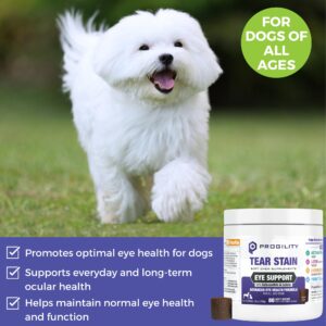 Nootie Progility Tear Stain Supplement for Dogs, Advanced Eye Health Formula, Helps Minimize Tear Stains, 80 Chews, Sold in Over 10,000 Vet Clinics and Pet Stores Worldwide