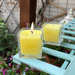 12 Pack Yellow Small Square Glass Citronella Candles, Strong Lemongrass Scented Votive Candles, for Outdoor Dinner Party, Patio, Glamping Essentials, Outside