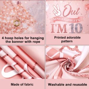 Holkcog Rose Gold Happy 10th Birthday Party Banner Backdrop for 10-Year-Old Girls Double Digits Birthday Girl "I'm 10" Bday Banner Rose Gold 10th Birthday Photo Background 10th Party Decorations supply