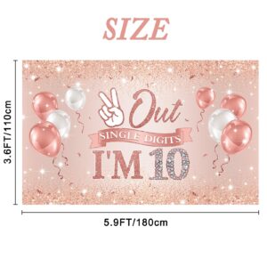 Holkcog Rose Gold Happy 10th Birthday Party Banner Backdrop for 10-Year-Old Girls Double Digits Birthday Girl "I'm 10" Bday Banner Rose Gold 10th Birthday Photo Background 10th Party Decorations supply