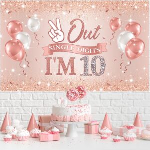 Holkcog Rose Gold Happy 10th Birthday Party Banner Backdrop for 10-Year-Old Girls Double Digits Birthday Girl "I'm 10" Bday Banner Rose Gold 10th Birthday Photo Background 10th Party Decorations supply