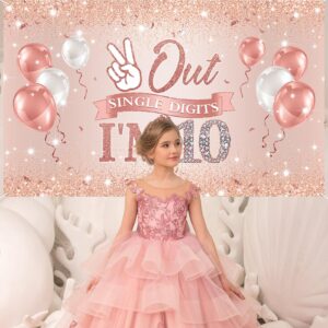 Holkcog Rose Gold Happy 10th Birthday Party Banner Backdrop for 10-Year-Old Girls Double Digits Birthday Girl "I'm 10" Bday Banner Rose Gold 10th Birthday Photo Background 10th Party Decorations supply