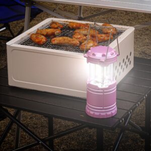 SEAMAGIC 4-Pack LED Pink Camping Lanterns, Essential Emergency Lights for Power Outages, Hiking, Hurricane