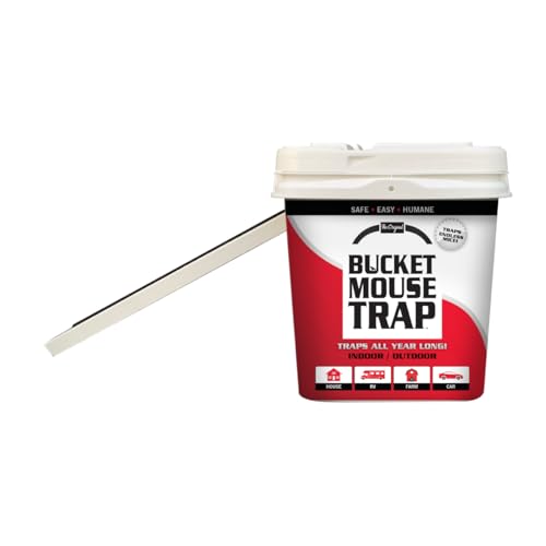 Little Bucket Mouse Trap - Complete kit Includes Bucket, ramp, and Roller