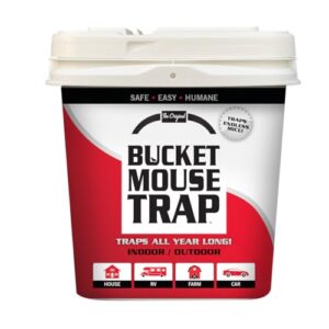 little bucket mouse trap - complete kit includes bucket, ramp, and roller