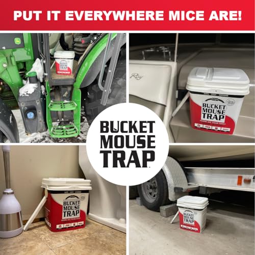 Little Bucket Mouse Trap - Complete kit Includes Bucket, ramp, and Roller