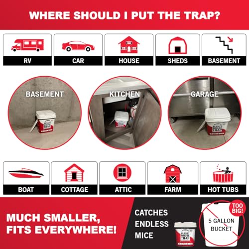 Little Bucket Mouse Trap - Complete kit Includes Bucket, ramp, and Roller