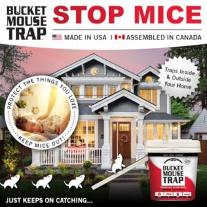 Little Bucket Mouse Trap - Complete kit Includes Bucket, ramp, and Roller