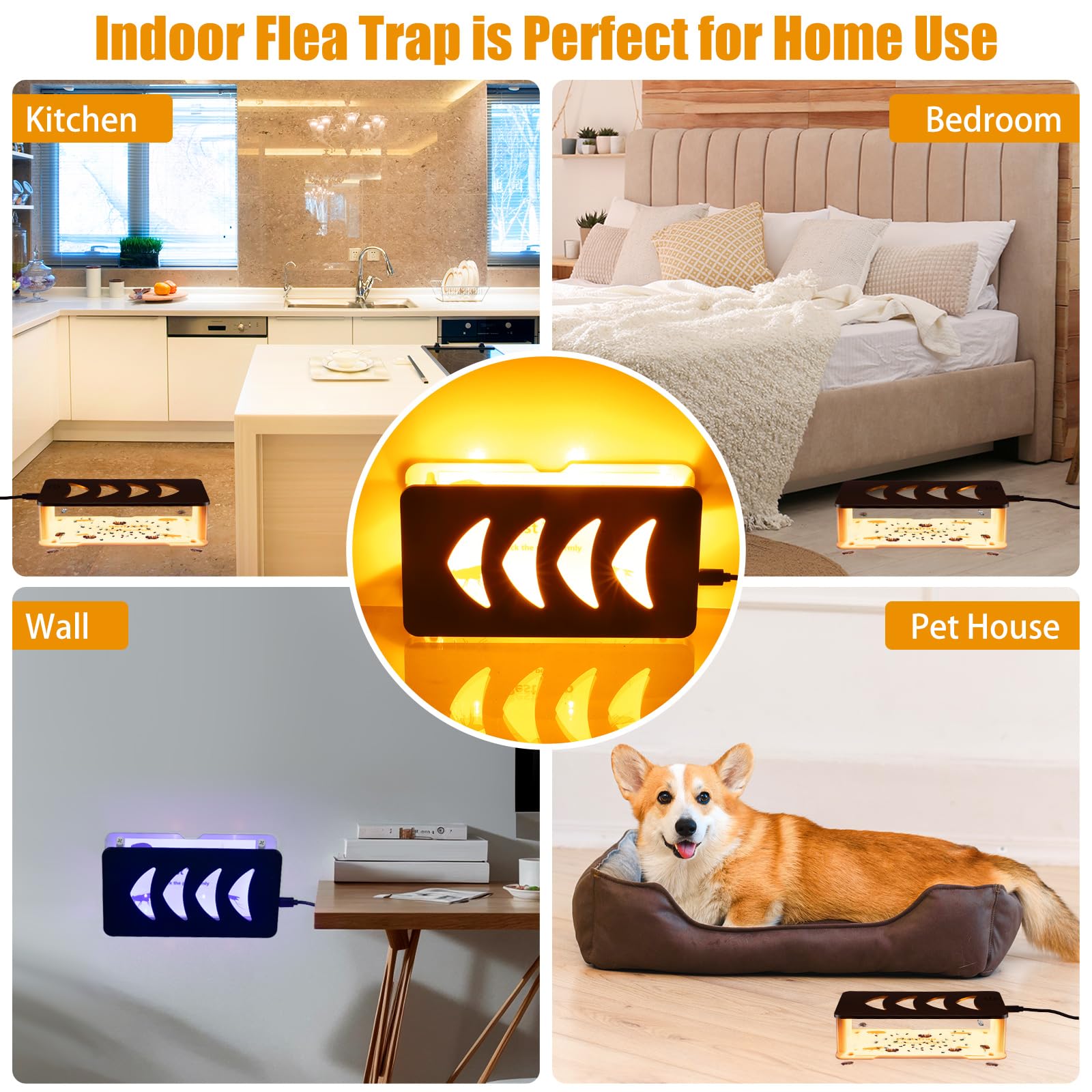 2 Pack Flea Traps for Inside Your Home, Flea Trap with Adjustable Light Modes & 4 Flying Insect Trap Sticky Refill Discs, Pest Trapper for Fleas, Flies, Mosquitoes