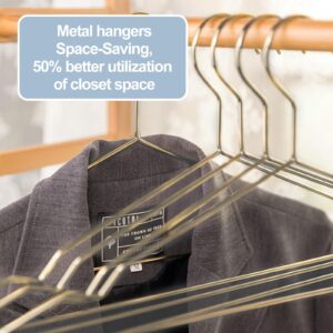 17.7'' Gold Metal Hangers 30 Pack Heavy Duty, Strong Wire Clothes Hangers with Notches, Space Saving Hangers Bulk for Standard Size Coats, Shirts, Suits, Pants,Gold