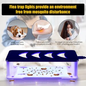 2 Pack Flea Traps for Inside Your Home, Flea Trap with Adjustable Light Modes & 4 Flying Insect Trap Sticky Refill Discs, Pest Trapper for Fleas, Flies, Mosquitoes