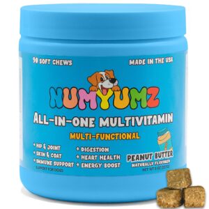 numyumz natural 15-in-one complete daily multivitamin dog chew supplement - joint health, omega-3 fatty acids, vitamins, immune support - tasty treats for healthy coat, skin, bones - 90 soft chews