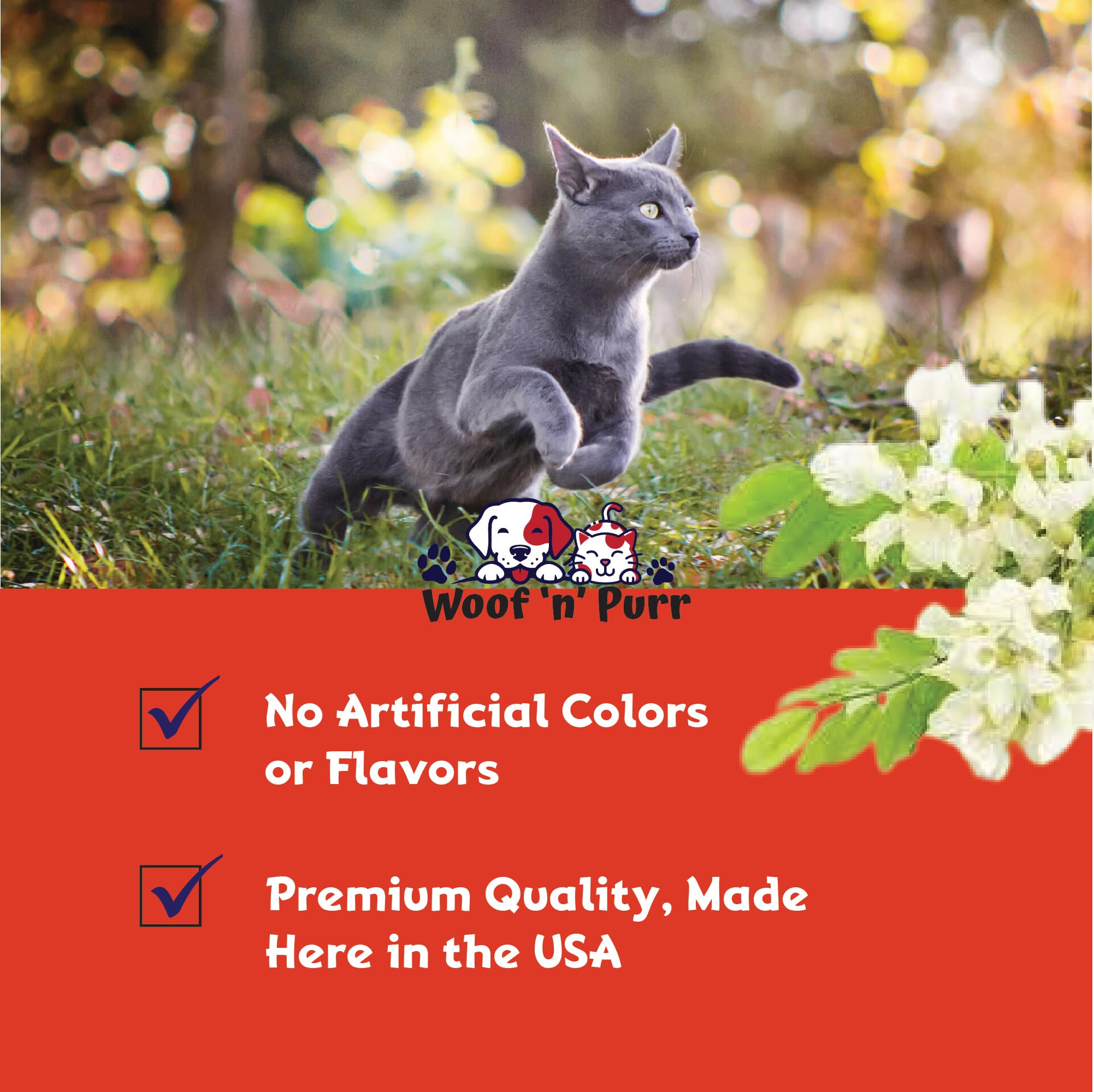 Natural Cat Antibiotic - Antibiotics for Cats - Pet Antibiotics - Cat Antibiotics - Cat Allergy Relief for Cats - Antibiotic for Cats - Cat UTI Antibiotics - 1 fl oz: Roast Chicken Flavor