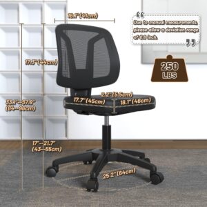 TTD TIANTIANDA Armless Swivel Mesh Computer Office Desk Chair Height Adjustable with Lumber Support for Small Spaces, Black