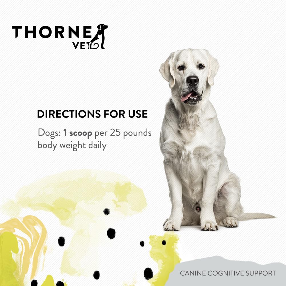 ThorneVet Canine Cognitive Support Powder for Dogs - Great Tasting Health Supplement with B Vitamins and Antioxidants to Support The Brain Health of Your Senior Dog - 90 Scoops