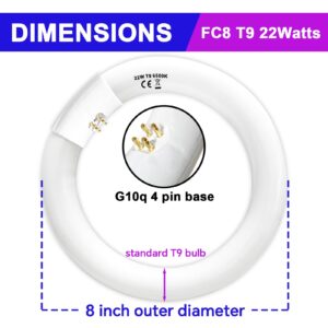 Celiwace FC8T9 22W and FC12T9 32W Set, 8 inch T9 22 Watts Circular Light Bulbs, 12 inch 32 Watts Circline Fluorescent Bulb CRI 80, Daylight 6500K, 3350 Lumen G10q