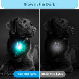 POEEY Dog Lights 2Pack LED Rechargeable Dog Collar Lights Clip on with RGB Color Pet Safety Lights Light up Lighted Dog Harness Light for Night Walking Camping