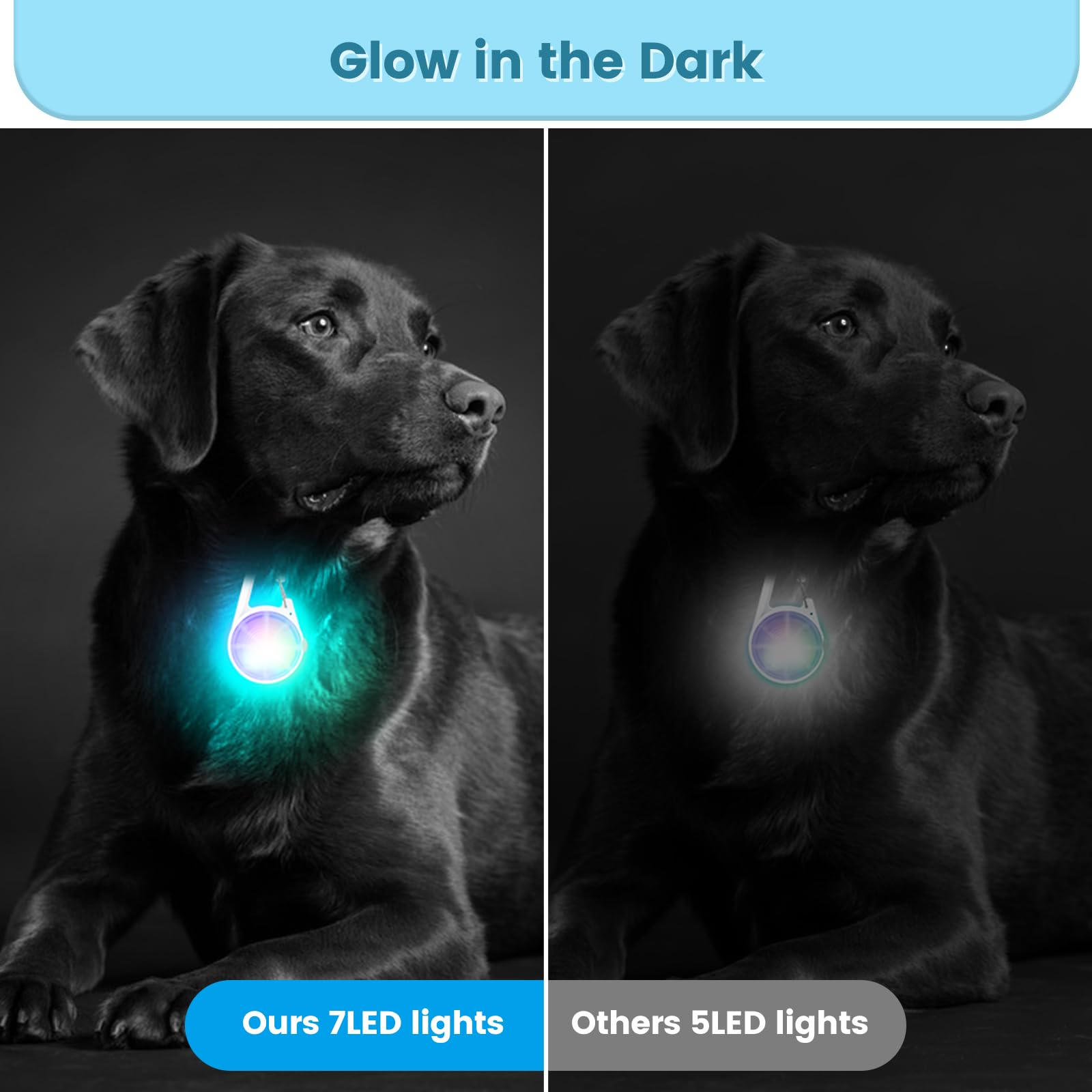 POEEY Dog Lights 2Pack LED Rechargeable Dog Collar Lights Clip on with RGB Color Pet Safety Lights Light up Lighted Dog Harness Light for Night Walking Camping