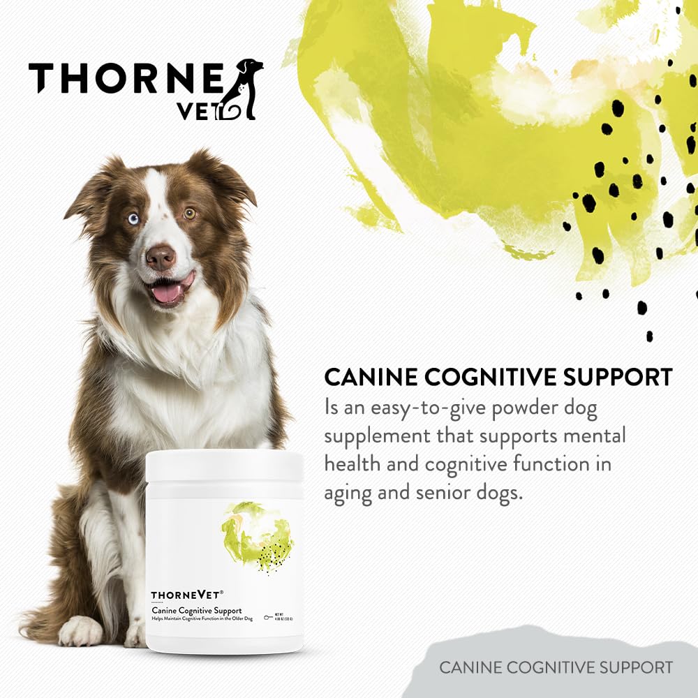 ThorneVet Canine Cognitive Support Powder for Dogs - Great Tasting Health Supplement with B Vitamins and Antioxidants to Support The Brain Health of Your Senior Dog - 90 Scoops