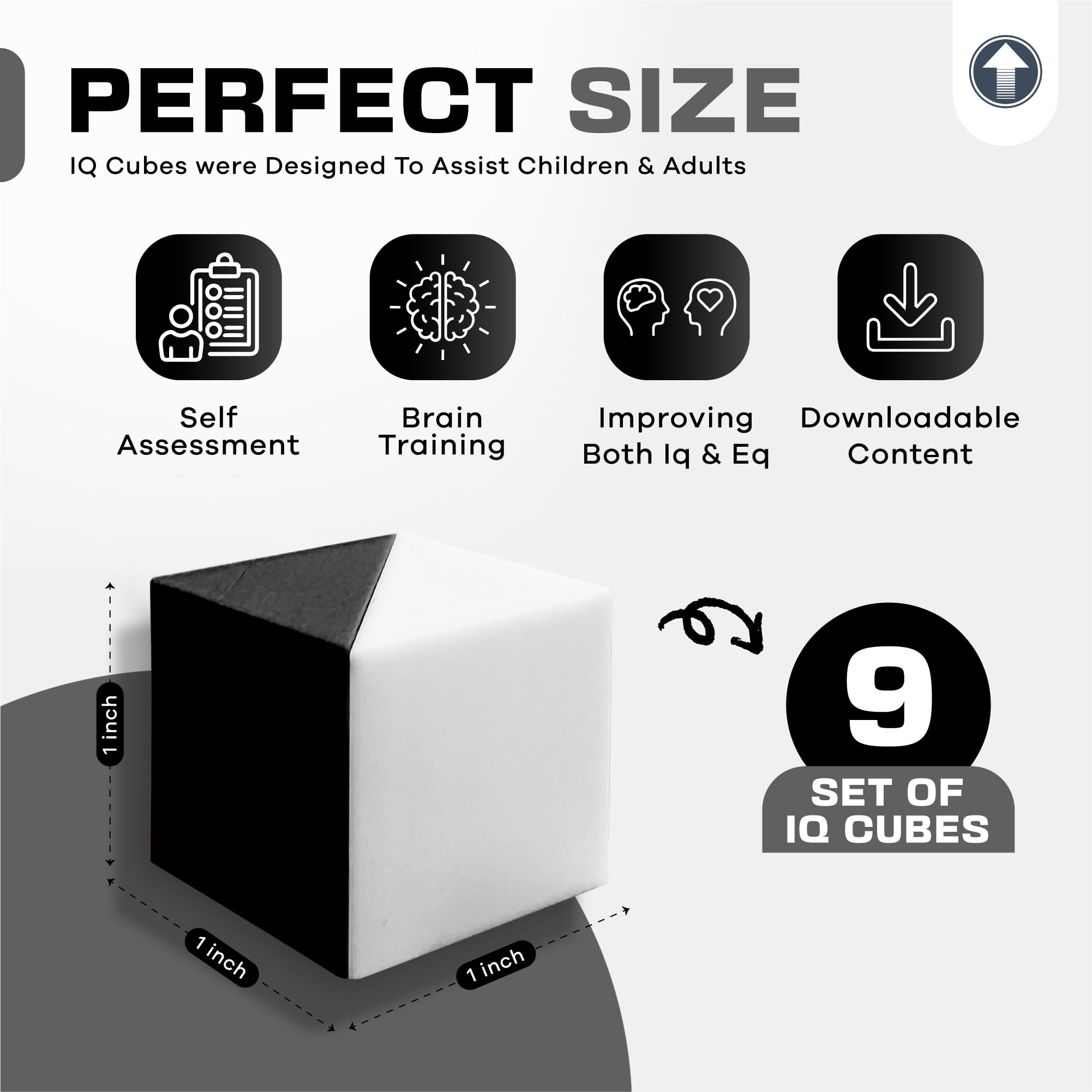 IQ Test Cubes (Black and White) – 9 Kohs Cubes, Practice for Block Design Test, BDT, WPPSI, WAIS IV and WISC V Test, Montessori Educational Blocks to Improve Concentration, Coordination and Memory