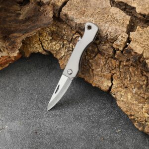 Joy-Touch Mini Titanium Alloy Pocket Knife, Little Sharp Keychain Knife, Small Folding Knife, EDC Box Cutter, Gifts for Men Women