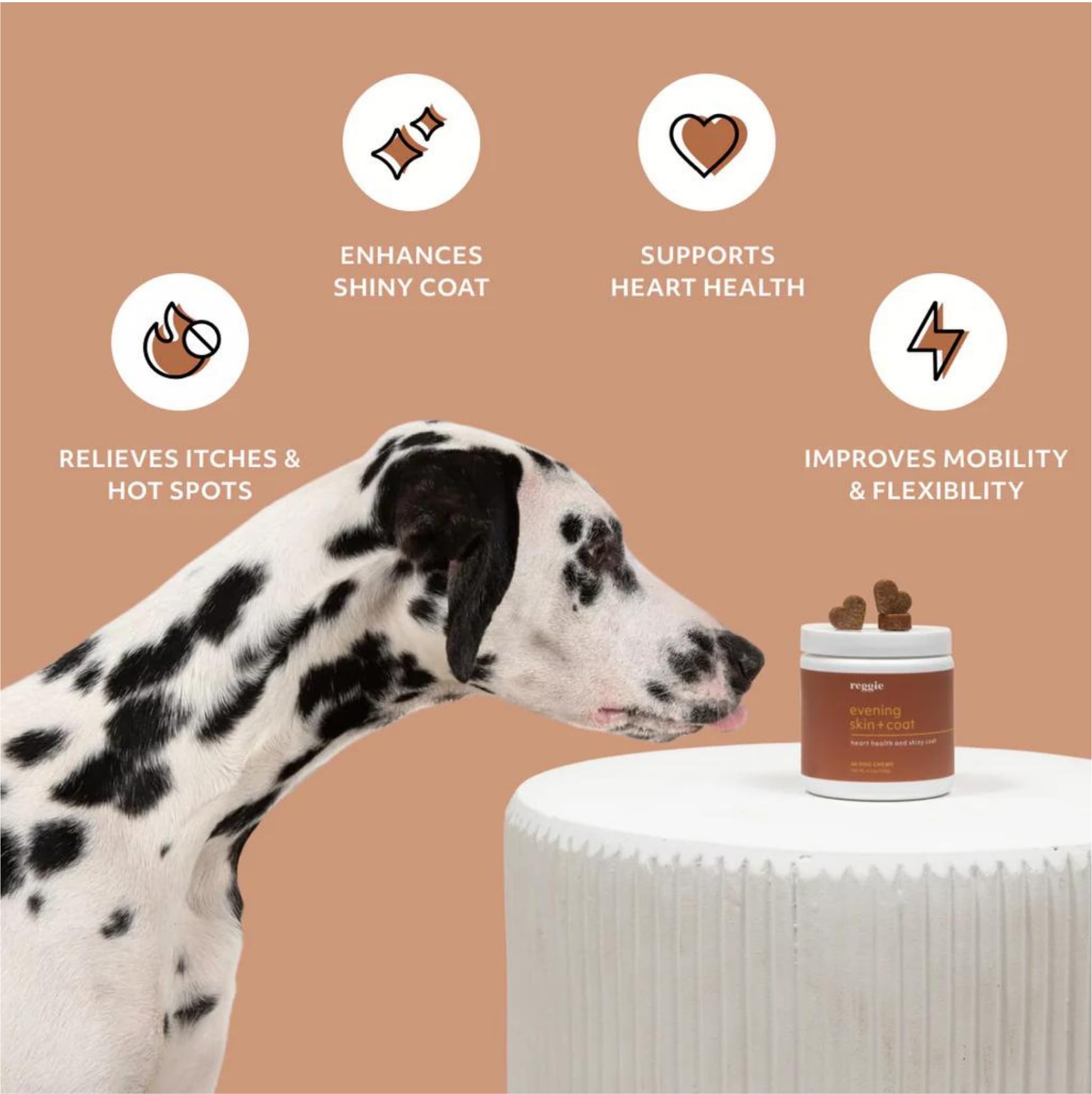 Reggie Evening Skin + Coat Supplements for Dogs | Relieves Itchy/Dry/Flaky Skin & Shedding | Made in The USA, Vet-Approved & Ideal for All Ages, Breeds, and Sizes - 60 Soft Chews