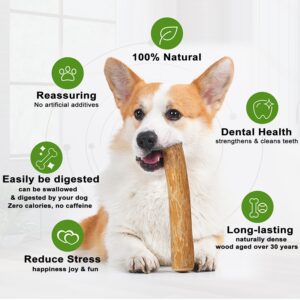 NEDUL Coffee Wood Dog Chew, Dog Chew Stick Toy, 100% Natural, Non Toxic, Safe (Medium)