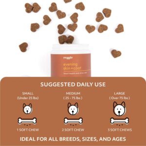 Reggie Evening Skin + Coat Supplements for Dogs | Relieves Itchy/Dry/Flaky Skin & Shedding | Made in The USA, Vet-Approved & Ideal for All Ages, Breeds, and Sizes - 60 Soft Chews