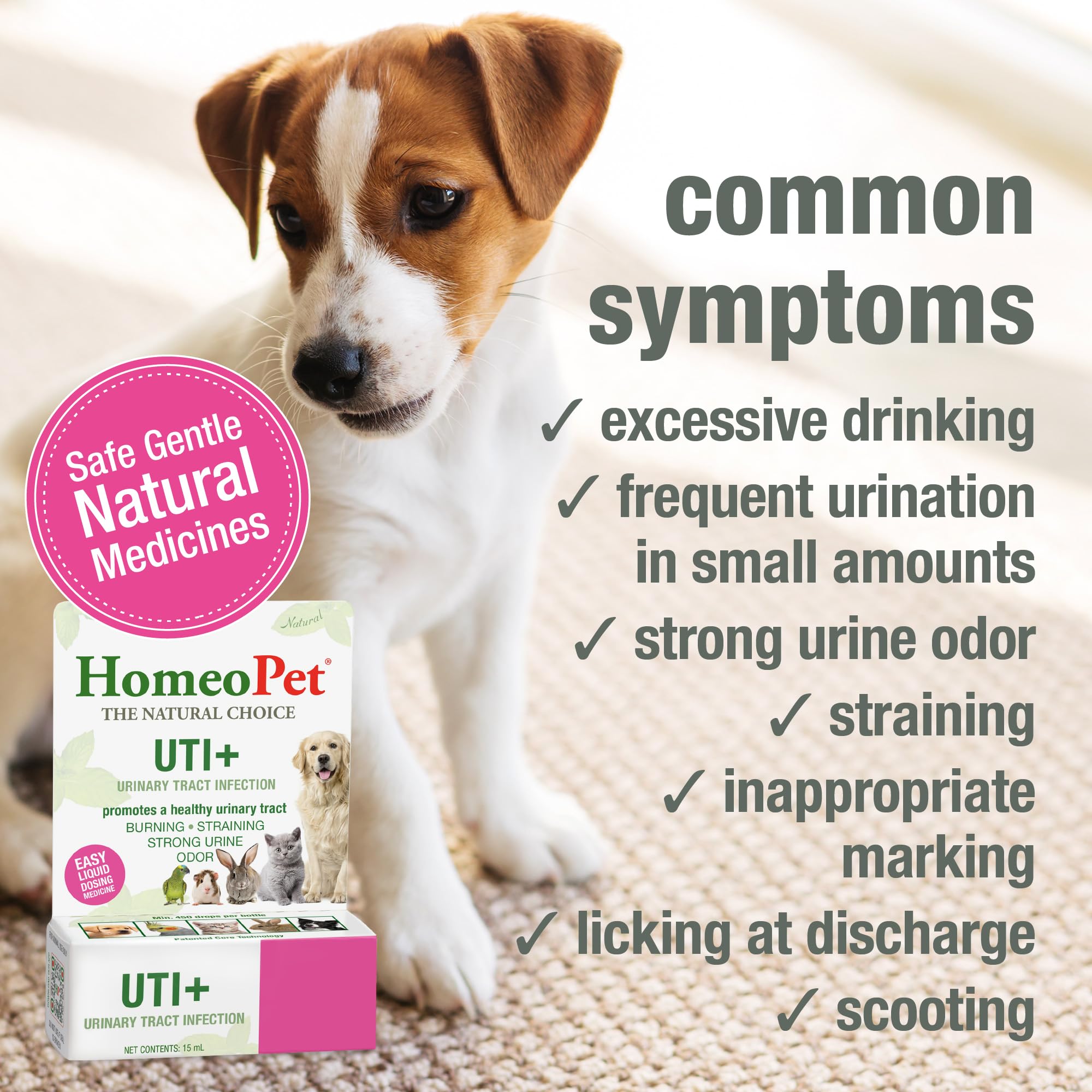 HomeoPet UTI Plus Urinary-Tract Relief, Supportive UTI Medicine for Dogs, Cats, and Other Pets, 15 ml