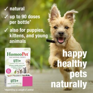 HomeoPet UTI Plus Urinary-Tract Relief, Supportive UTI Medicine for Dogs, Cats, and Other Pets, 15 ml