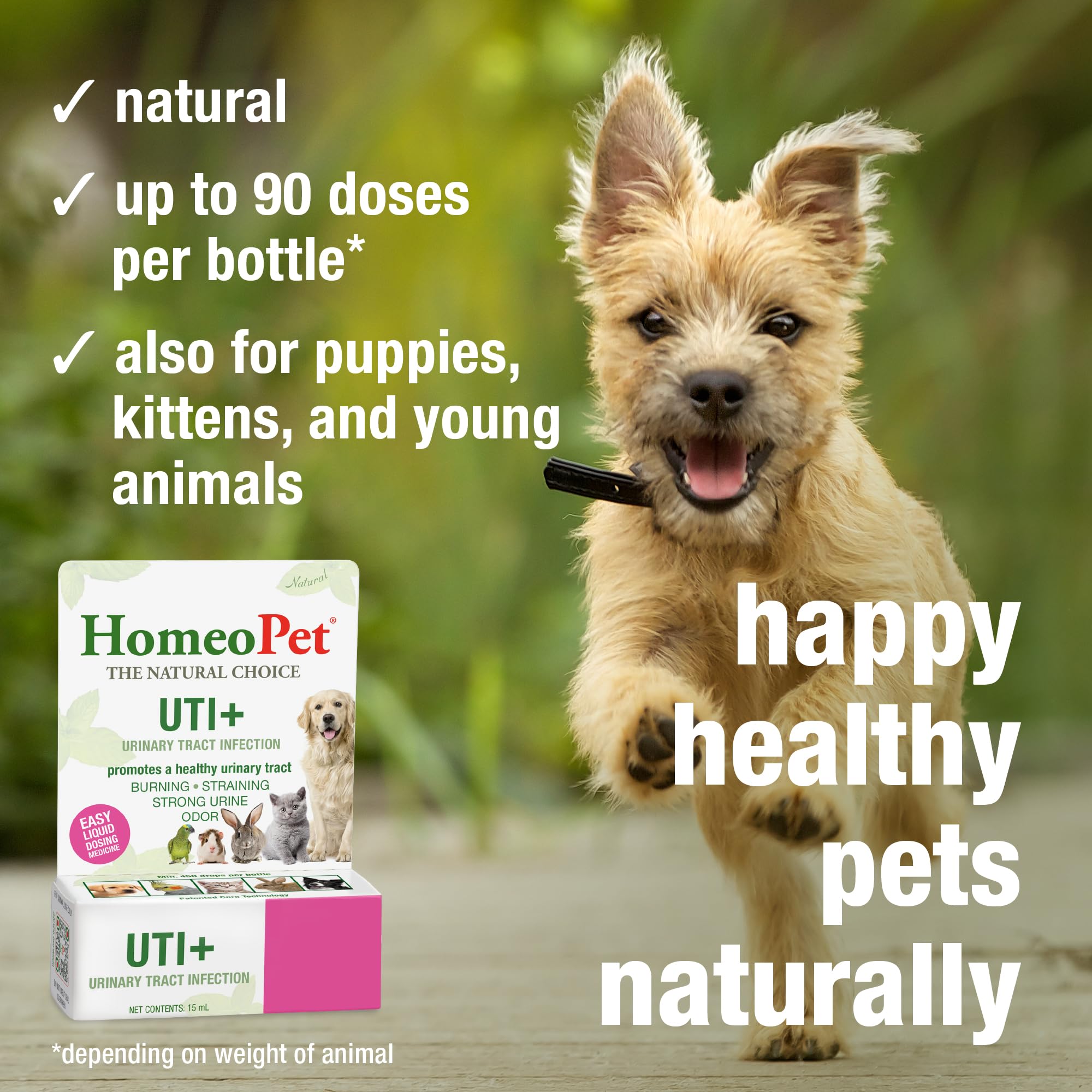 HomeoPet UTI Plus Urinary-Tract Relief, Supportive UTI Medicine for Dogs, Cats, and Other Pets, 15 ml