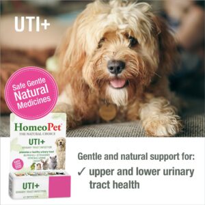 HomeoPet UTI Plus Urinary-Tract Relief, Supportive UTI Medicine for Dogs, Cats, and Other Pets, 15 ml