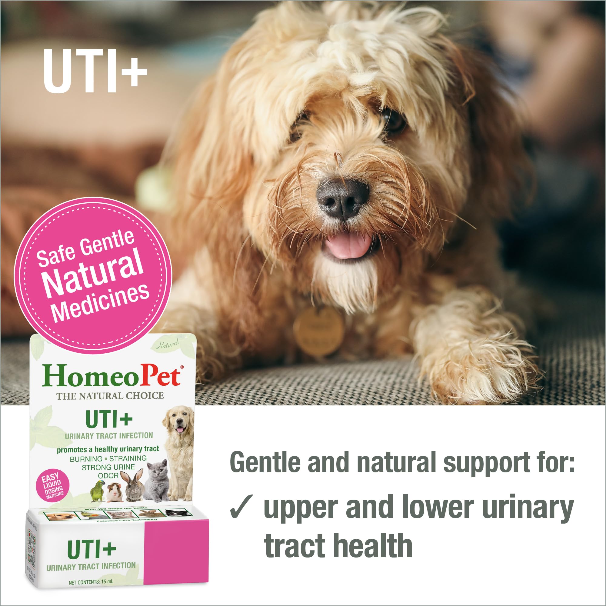 HomeoPet UTI Plus Urinary-Tract Relief, Supportive UTI Medicine for Dogs, Cats, and Other Pets, 15 ml