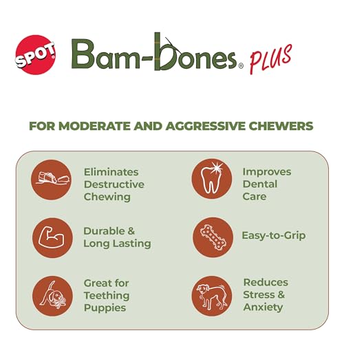 SPOT Bam-Bones Plus Dental Chew Bone - Bamboo Fiber & Nylon with a Massaging Rubber Center, Durable Long Lasting Oral Care Dog Chew for Aggressive Chewers & Teething Puppies, 6.5in, Bacon Flavor