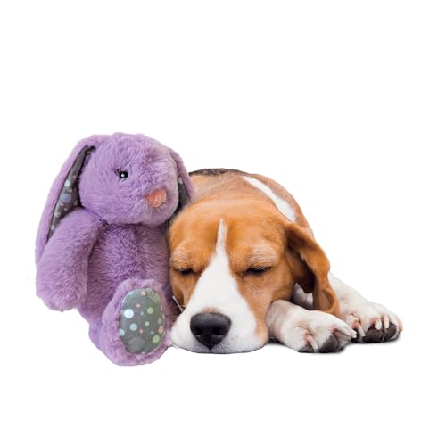 SPOT Soothers Heartbeat Bunny- Calming Toy for Dogs with Heartbeat Pulse, Separation Anxiety Relief and Behavioral Training Aid for Puppy Calming, 12in