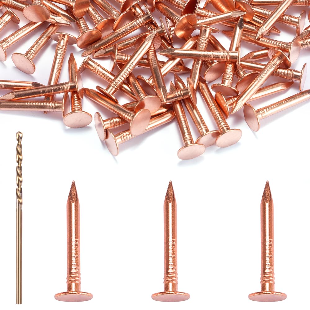 Copper Roofing Nail Set - 60 Pcs 1-Inch Copper Nails & 1/16 Inch Drill Bit, C11000 99.95% Pure Copper Nails for Roof Repair,Roof Flashing, Tree Maintenance, Stump Removal, and DIY Project