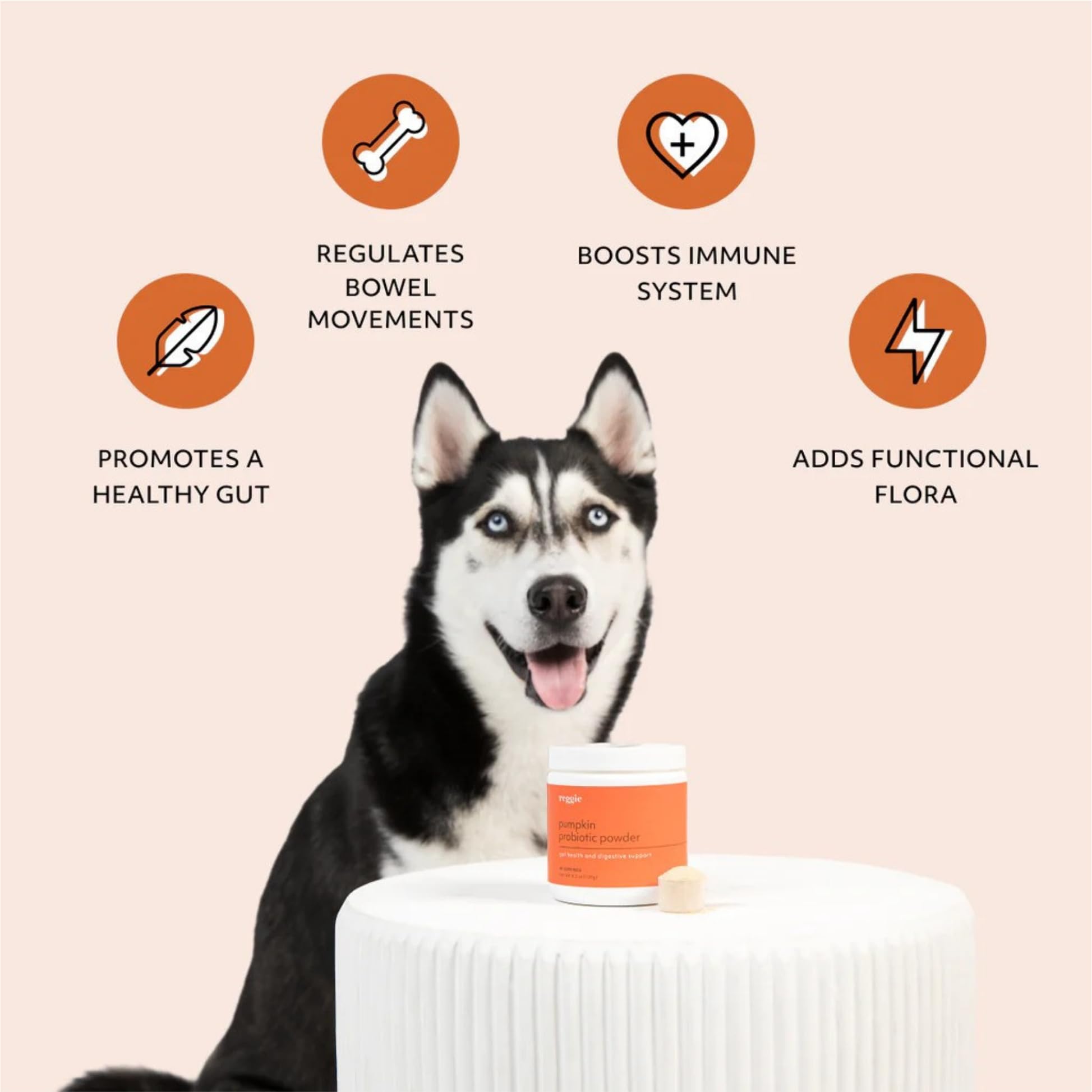 Reggie Pumpkin Probiotic Powder for Dogs | Supports Healthy Gut, Digestion, Nutrient Absorption, Stool Consistency | Made in The USA, Vet-Approved & Ideal for All Ages, Breeds, and Sizes - 40 Scoops